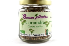 Coriandre graine