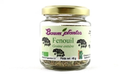 Fenouil