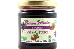 Confiture de Cassis-Groseille