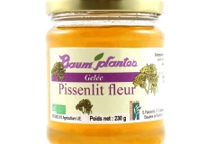 Gelée de Fleurs de Pissenlit