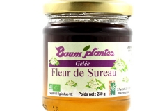 Gelée de Fleurs de Sureau