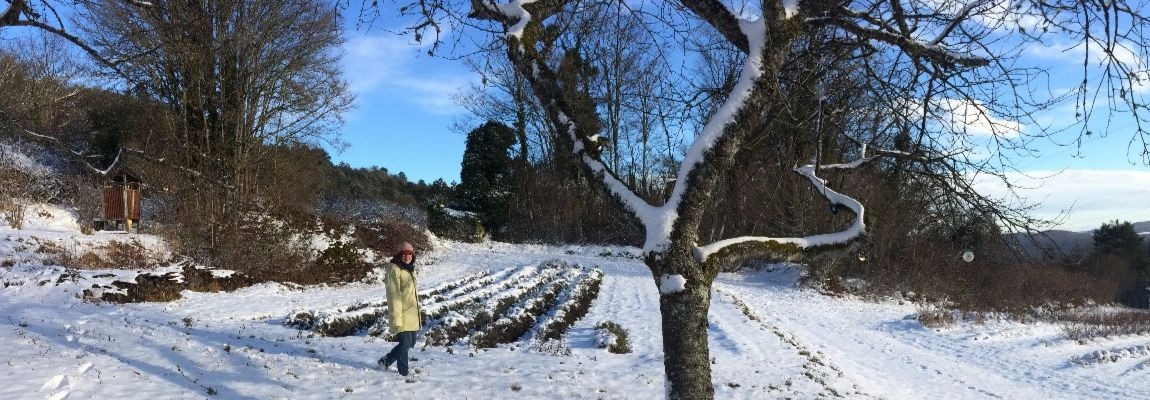 Hiver à Baulme-la-Roche